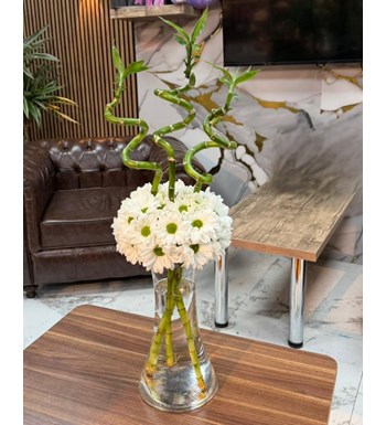 Bambu Papatya Çiçek