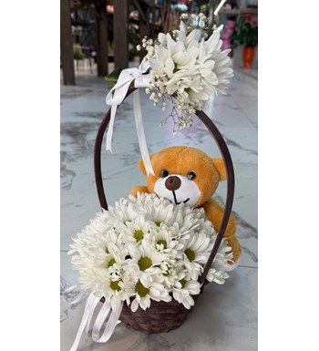 Sepette beyaz papatya